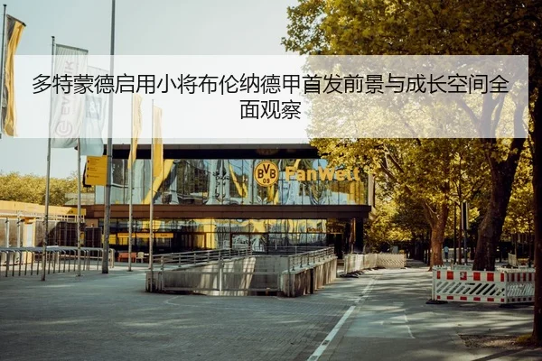 多特蒙德启用小将布伦纳德甲首发前景与成长空间全面观察